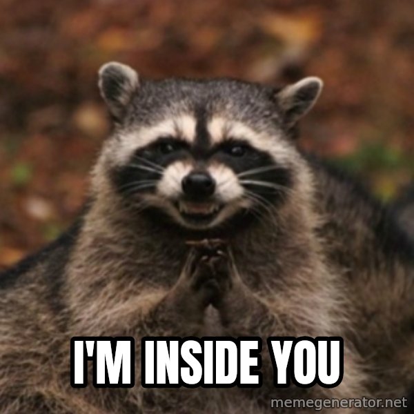 evil raccoon meme: i'm inside you