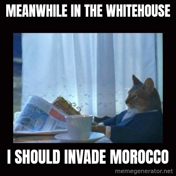 i should buy a boat cat meme: Meanwhile in the whitehouse / I should invade Morocco