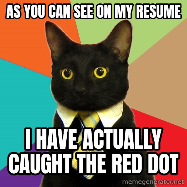Business Cat meme: As you can see on my resume / I have actually caught the red dot