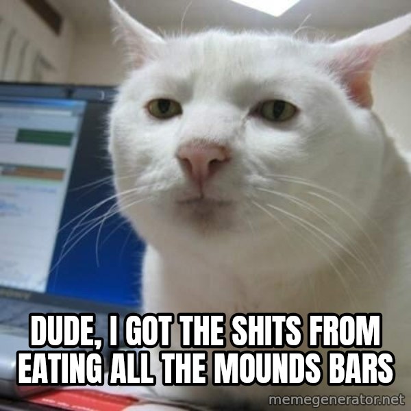 Serious Cat meme: dude, i got the shits from eating all the mounds bars