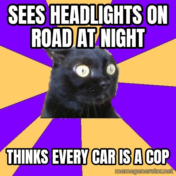 Anxiety Cat meme: Sees headlights on road at night / thinks every car is a cop
