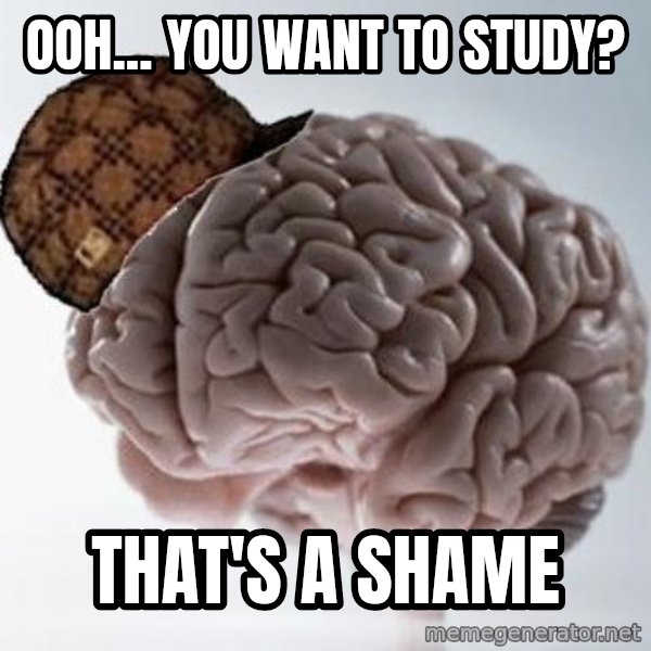 Scumbag Brain meme: Ooh... You want to study? / That's a shame