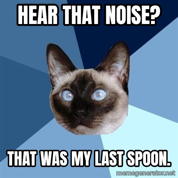 Chronic Illness Cat meme: HEAR THAT NOISE? / THAT WAS MY LAST SPOON.