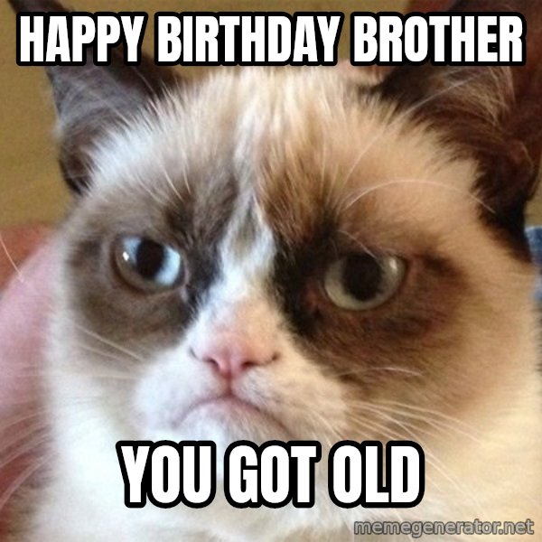Angry Cat Meme meme: happy birthday brother / you got old