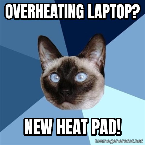 Chronic Illness Cat meme: Overheating laptop? / New heat pad!