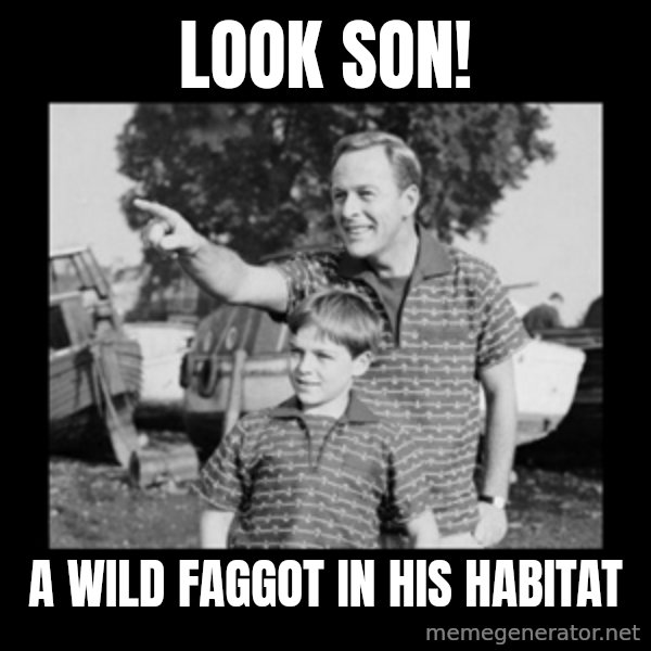 look son a faggot meme: look son! / a wild faggot in his habitat