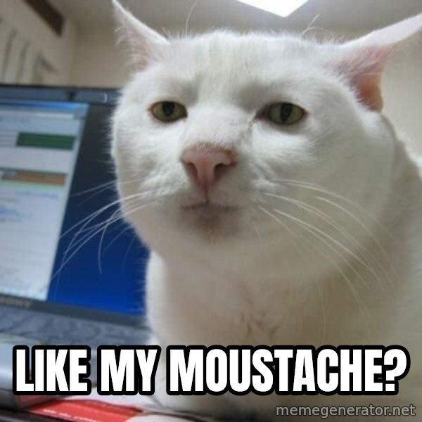 Serious Cat meme: like my moustache?