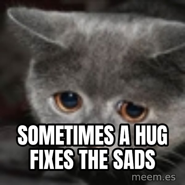 sad cat meme: Sometimes a hug fixes the sads