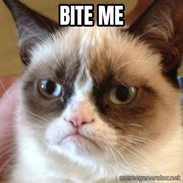 Angry Cat Meme meme: Bite me