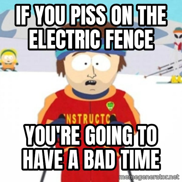 Bad time ski instructor 1 meme: If you piss on the electric fence / You're going to have a bad time