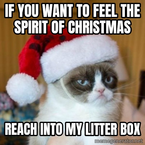 Grumpy Cat Santa Hat meme: If you want to feel the spirit of christmas / Reach into my litter box