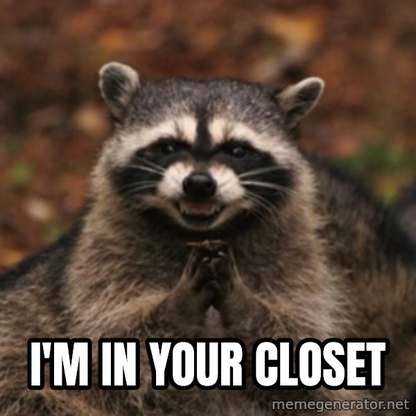 evil raccoon meme: i'm in your closet