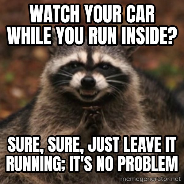evil raccoon meme: watch your car while you run inside? / sure, sure, just leave it running; it's no problem