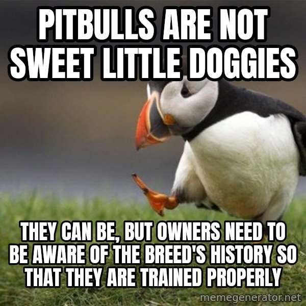 Unpopular Opinion Puffin meme: Pitbulls are not sweet little doggies / They can be, but owners need to be aware of the breed's history so that they are trained properly