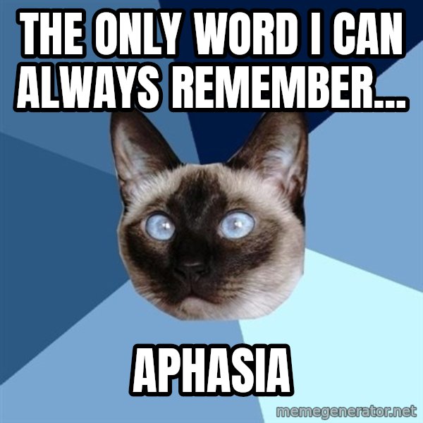 Chronic Illness Cat meme: the only word I can always remember... / aphasia