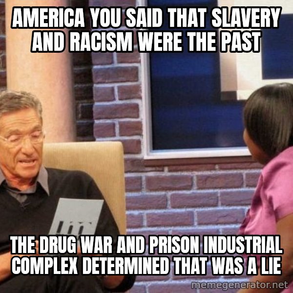 Maury Lie Detector meme: america you said that slavery and racism were the past / the drug war and prison industrial complex determined that was a lie