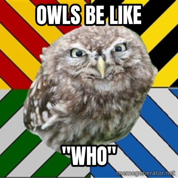 JEALOUS POTTEROMAN meme: Owls be like / "Who"