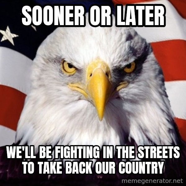 American Pride Eagle meme: sooner or later / we'll be fighting in the streets to take back our country