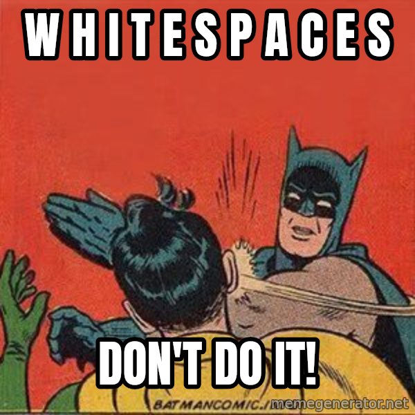 batman slap robin meme: W H I T E S P A C E S / DON'T DO IT!