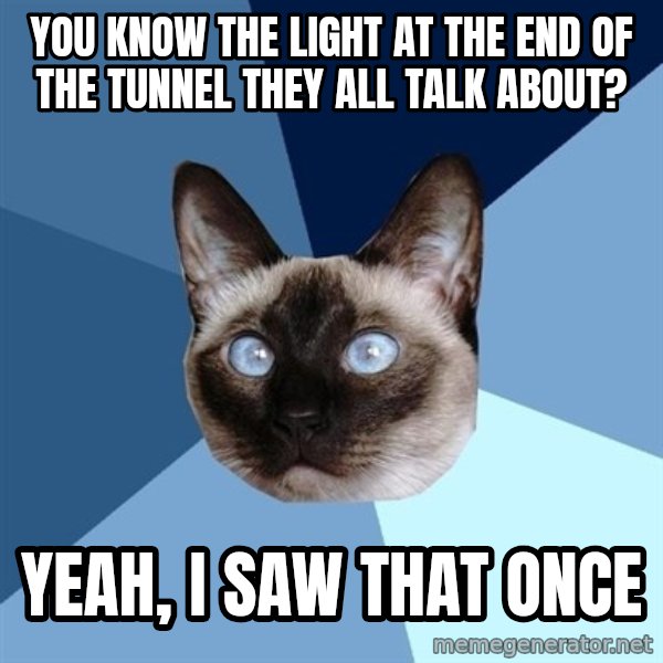 Chronic Illness Cat meme: you know the light at the end of the tunnel they all talk about? / yeah, i saw that once