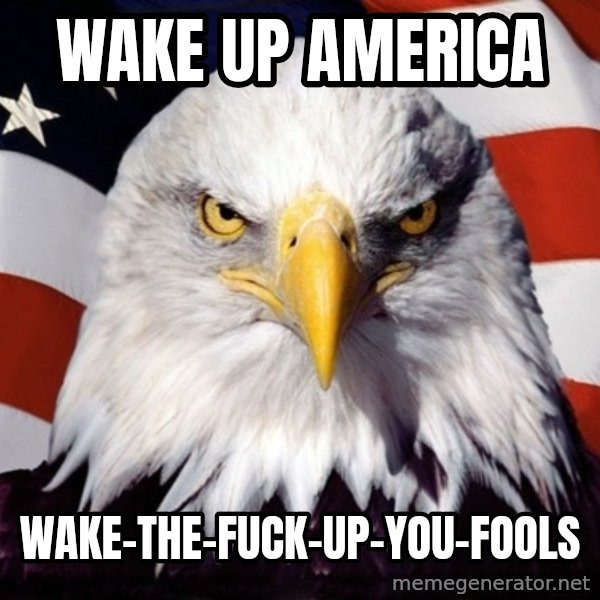 American Pride Eagle meme: wake up america / wake-the-fuck-up-you-fools