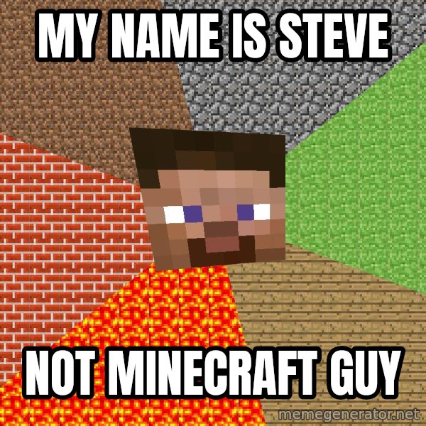 Minecraft Guy meme: my name is steve / not minecraft guy