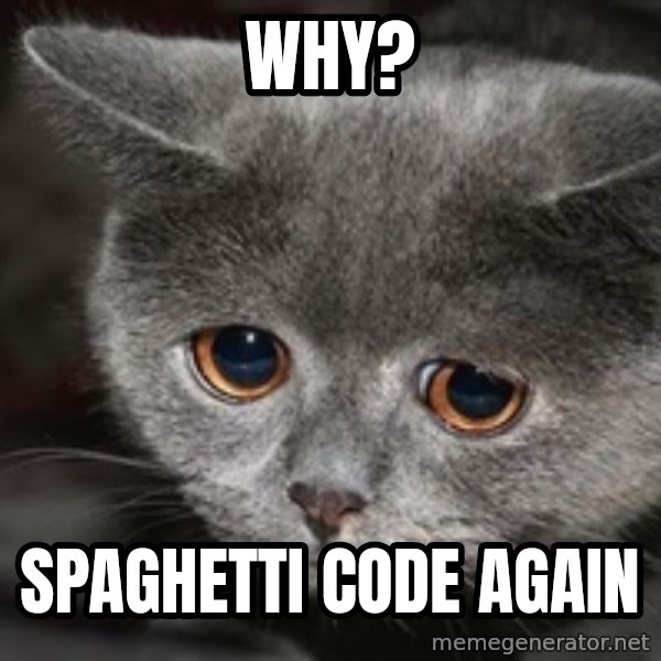 Sadcat meme: WHY? / Spaghetti code again