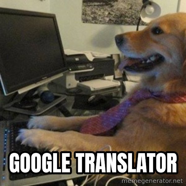 I have no idea what I'm doing - Dog with Tie meme: google translator