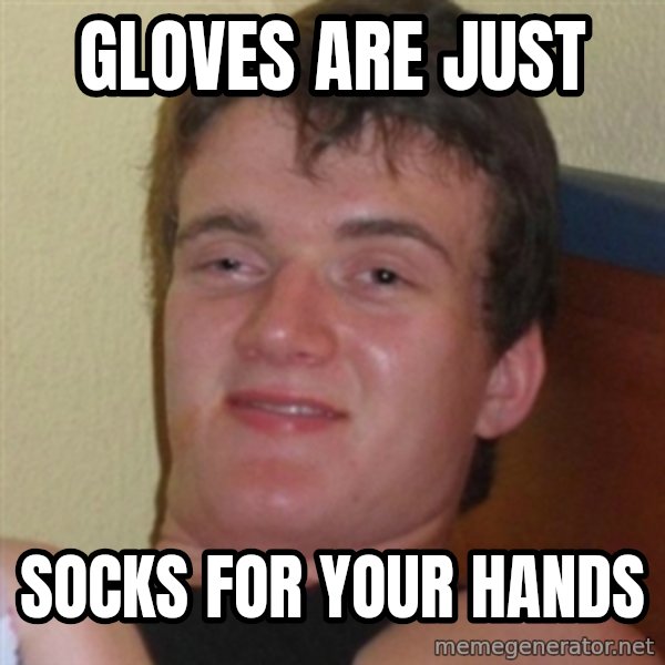 Really highguy meme: gloves are just / socks for your hands