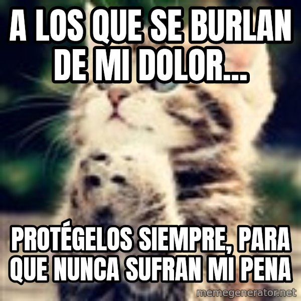 Praying Kitten meme: A los que se burlan de mi dolor... / Protégelos siempre, para que nunca sufran mi pena