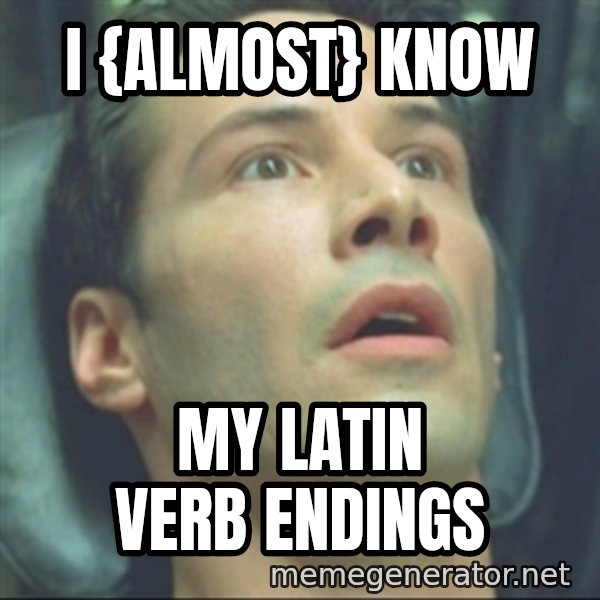 i know kung fu meme: I {almost} know / my latin verb endings