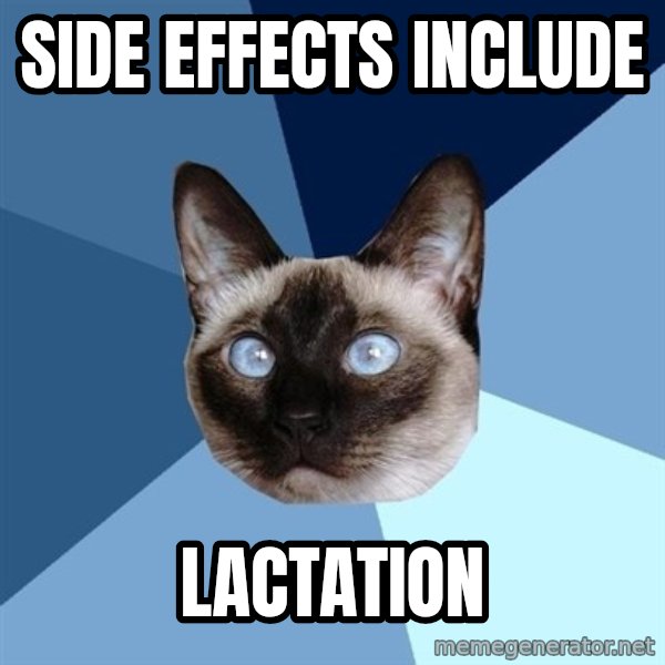 Chronic Illness Cat meme: SIDE EFFECTS INCLUDE / lactation