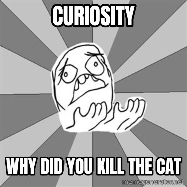 Whyyy??? meme: curiosity / why did you kill the cat