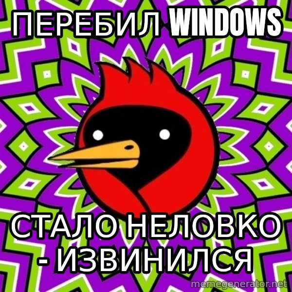 Omsk Crow meme: Перебил Windows / стало неловко - извинился