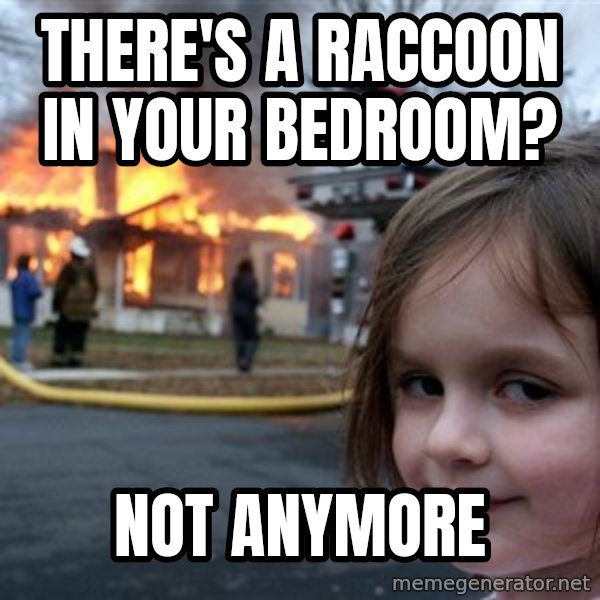 Disaster Girl meme: There's a raccoon in your bedroom? / Not anymore