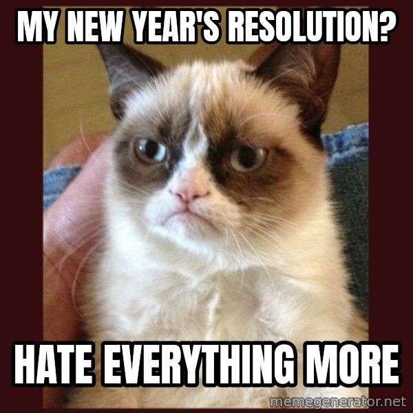Tard the Grumpy Cat meme: MY NEW YEAR's RESOLUTION? / HATE EVERYTHING MORE