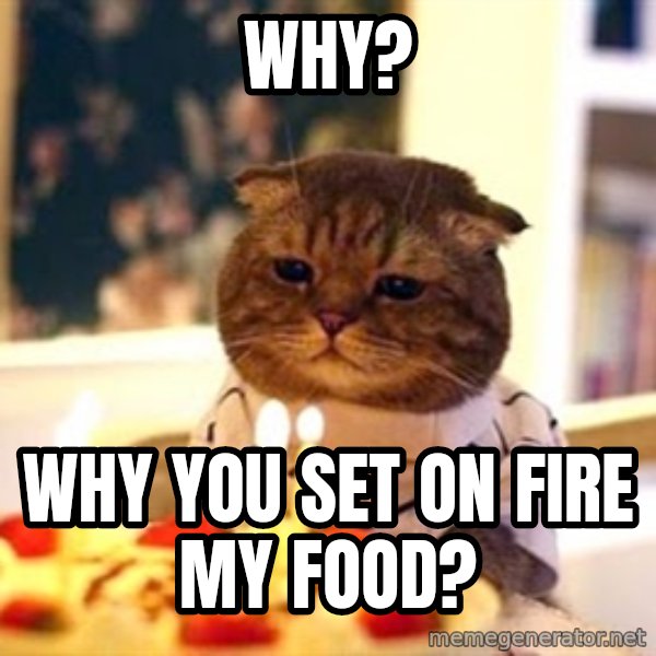 Birthday Cat meme: why? / why you set on fire my food?
