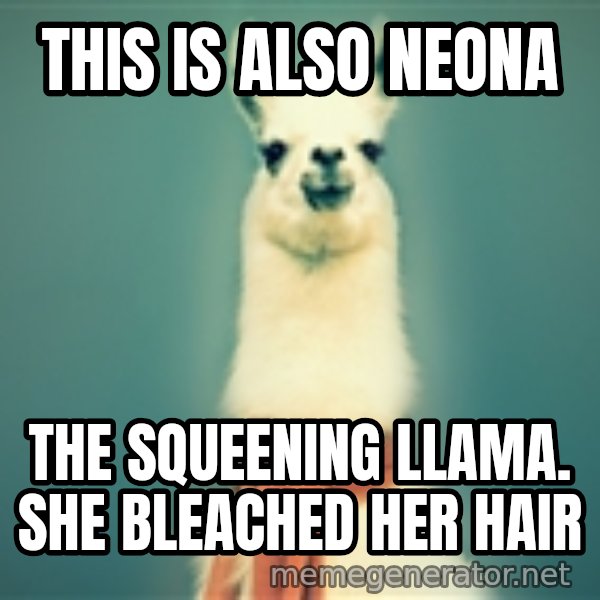 Pancakes llama meme: THis is also neona / the squeening llama. she bleached her hair