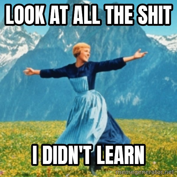 Sound Of Music Lady meme: Look at all the shit / i didn't learn