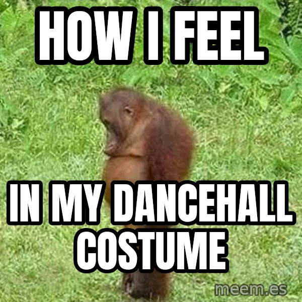 Orangutan Stan meme: how i feel / in my dancehall costume