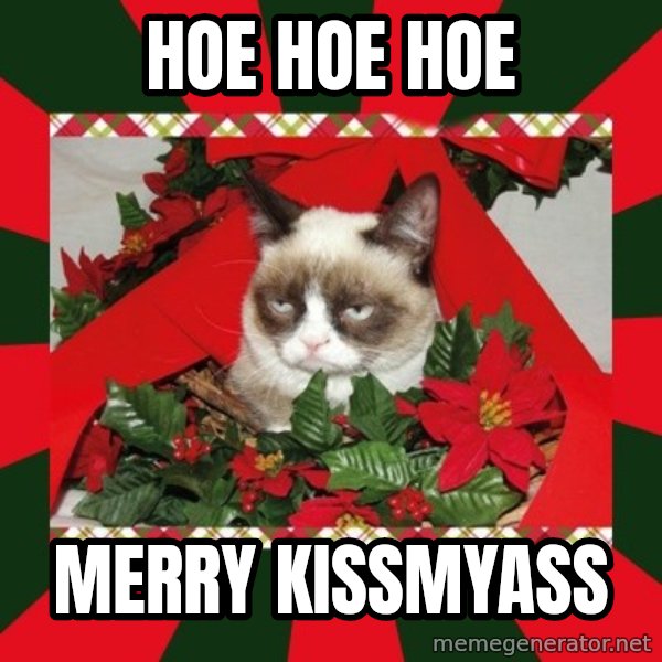 GRUMPY CAT ON CHRISTMAS meme: Hoe Hoe hoe / merry kissmyass