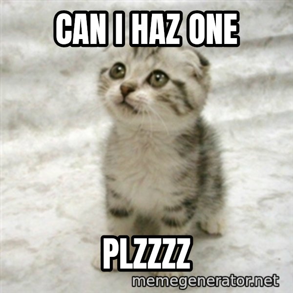 Can haz cat meme: Can i haz one / plzzzz