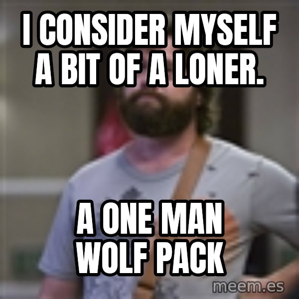 Alan Hangover meme: I consider Myself a Bit of a loner. / A One Man Wolf Pack