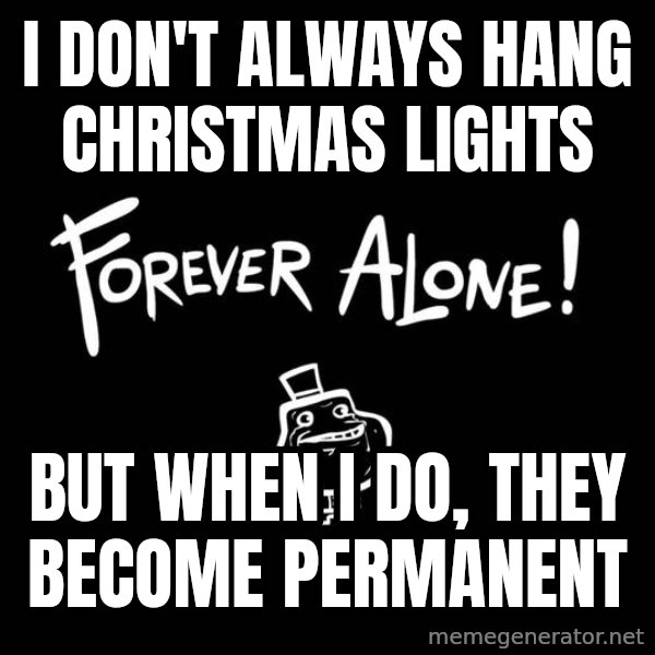The Most Interesting Man In The World meme: I don't always hang christmas lights / but when i do, they become permanent