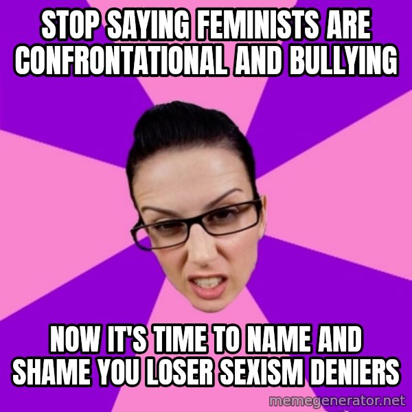 Privilege Denying Feminist meme: stop saying feminists are confrontational and bullying / now it's time to name and shame you loser sexism deniers