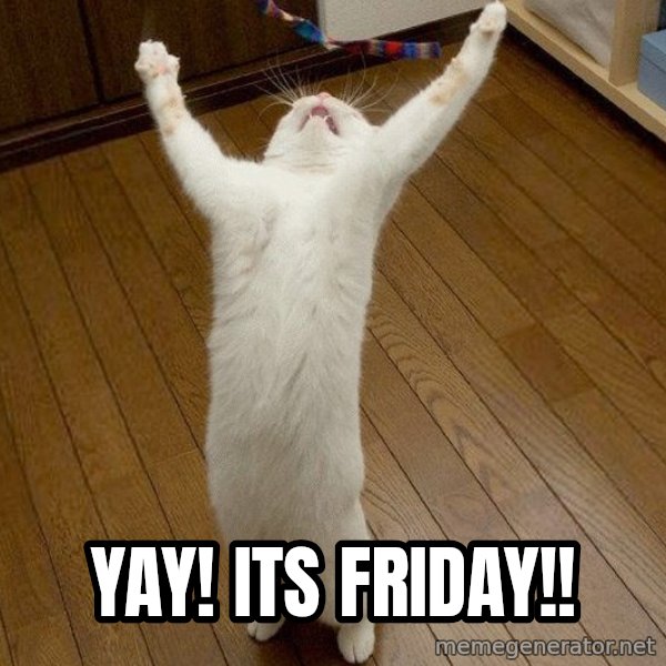 praise the lord cat meme: YAY! ITS FRIDAY!!