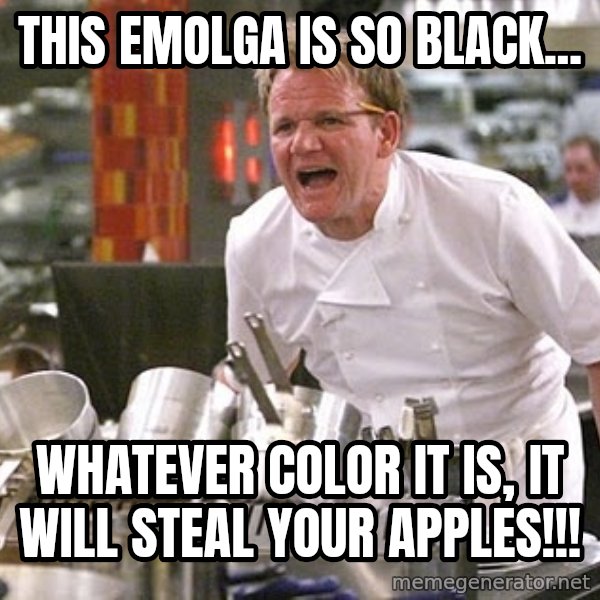 Gordon Ramsay Yelling damned loudly meme: This Emolga is so black... / whatever color it is, it will steal your apples!!!