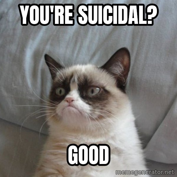 Grumpy cat good meme: You're suicidal? / good