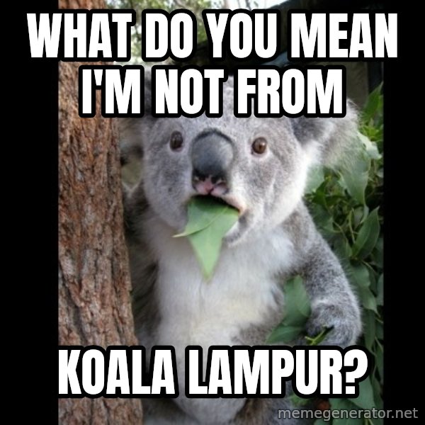 Koala can't believe it meme: what do you mean i'm not from / koala lampur?