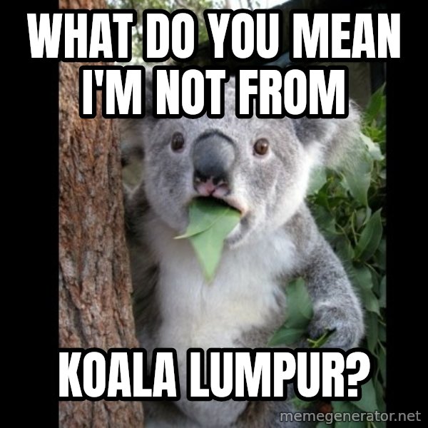 Koala can't believe it meme: what do you mean i'm not from / koala lumpur?